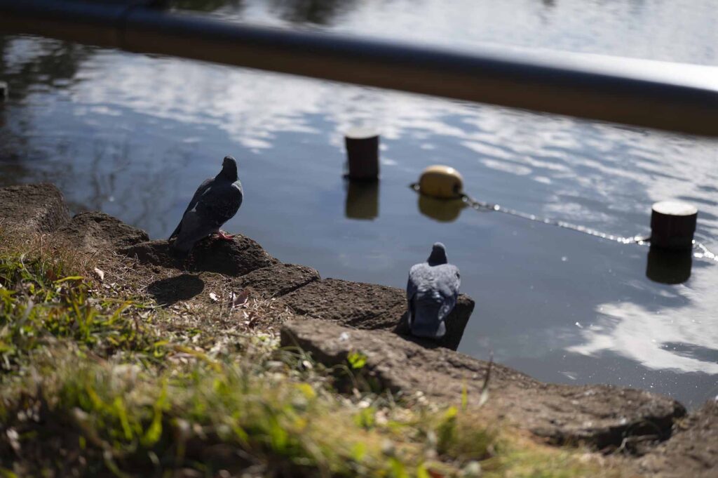 政治学者猪口孝氏を悼む